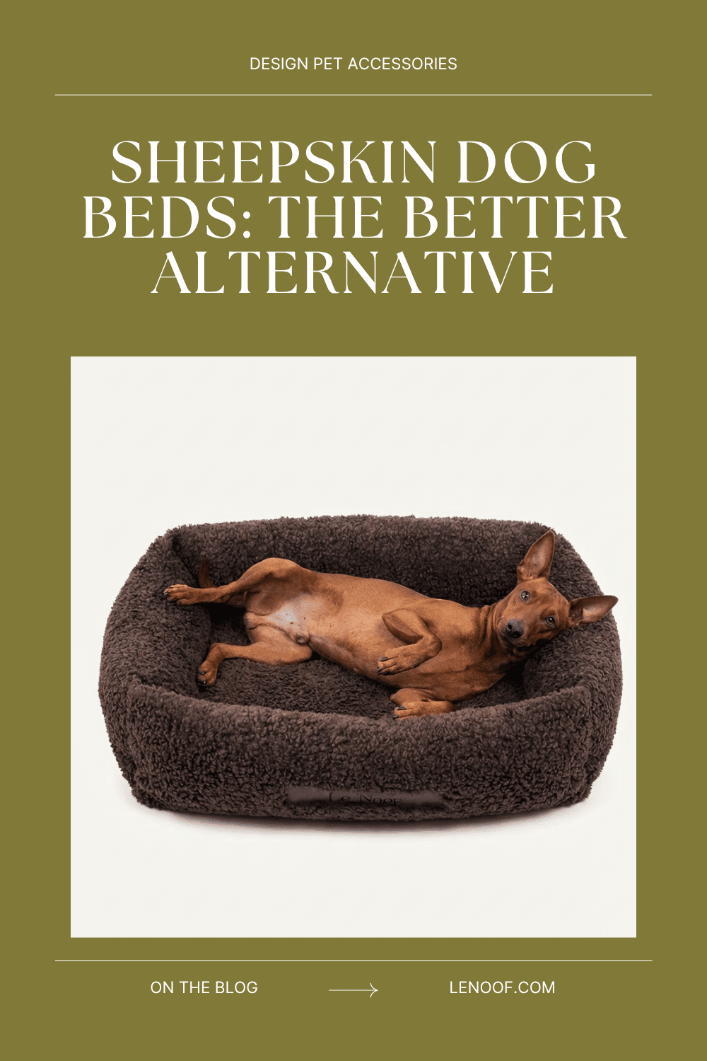 Sheepskin dog bed blog post cover by Le Noof