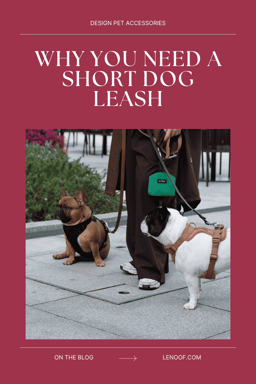 Short dog leash blog post cover by Le Noof