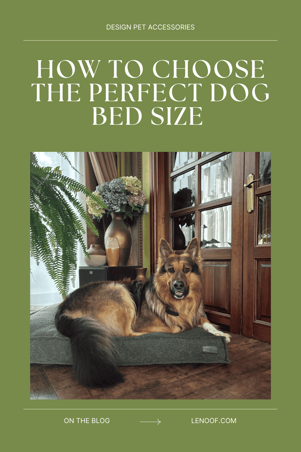 what size dog bed do I need blog post cover by Le Noof