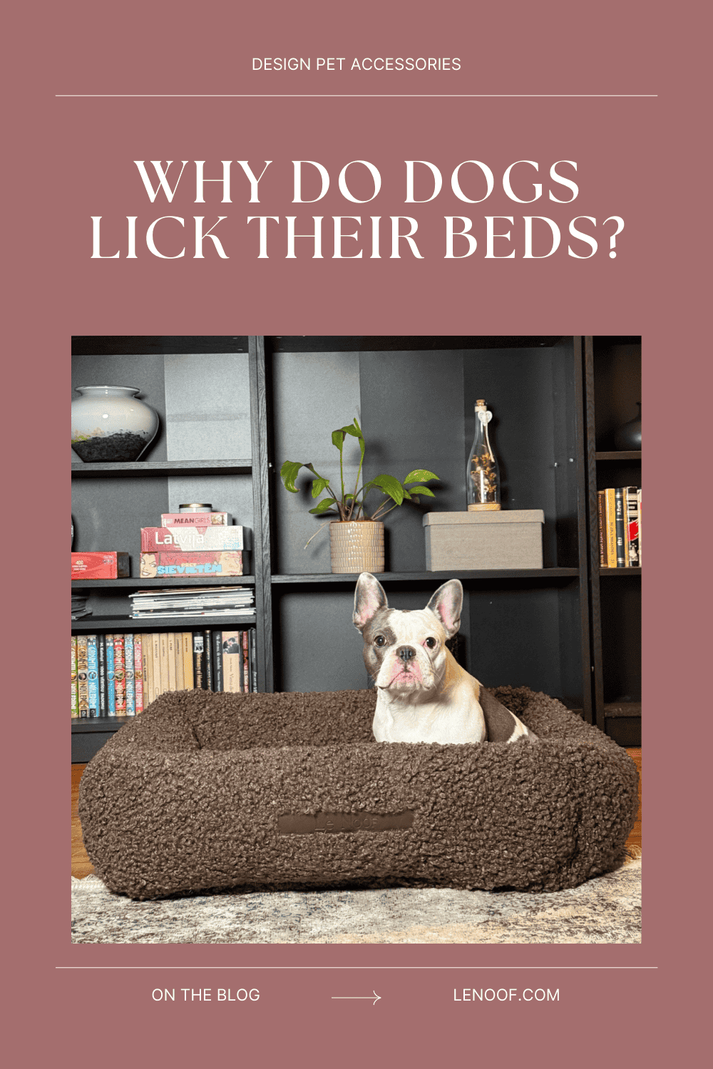 why do dogs lick their beds - blog post cover with french bulldog in Le Noof's teddy sofa bed in brown color