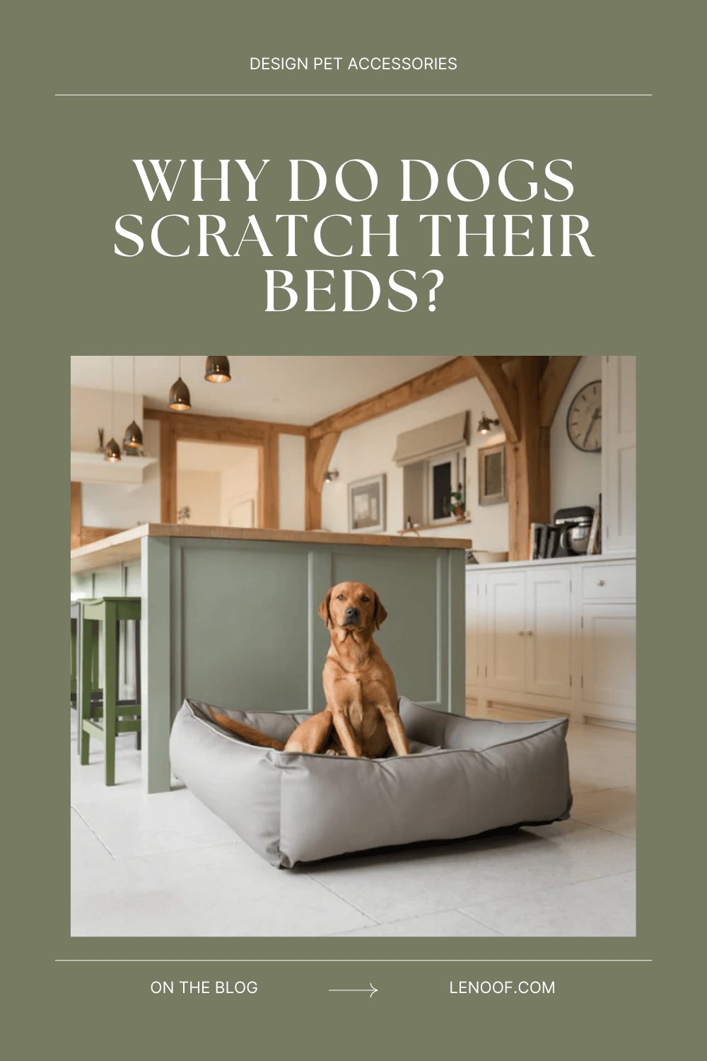 why do dogs scratch their beds Le Noof blog post cover with dog laying in the bed in the kitchen