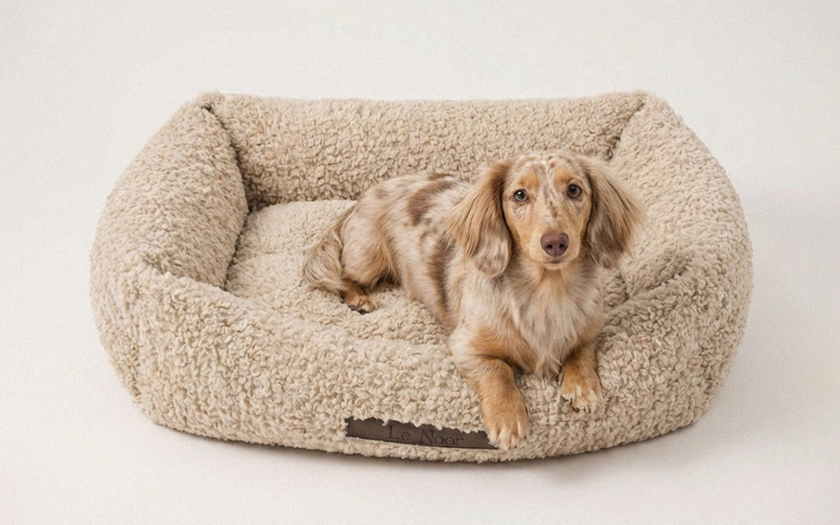 Dog Beds