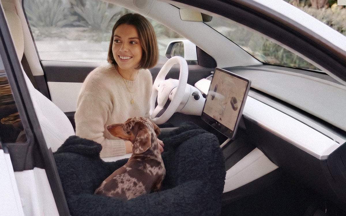 Dog Car Beds