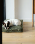 French Bulldog lying on Le Noof Premium Boucle Square dog bed in living room