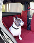 French bulldog sitting on red dog car seat cover inside the car