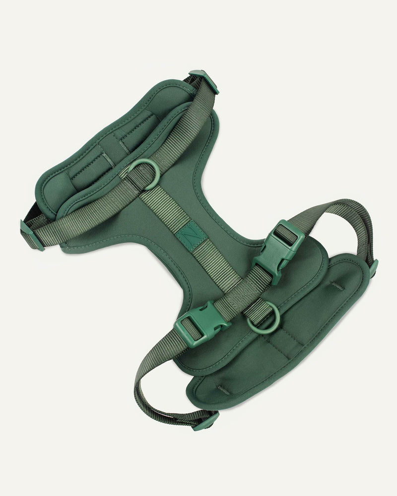 Green Le Noof dog harness