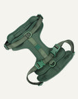 Green Le Noof dog harness