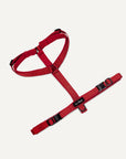Maroon red Le Noof step in harness
