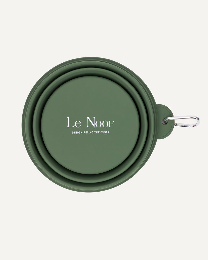 Green collapsible silicone dog bowl