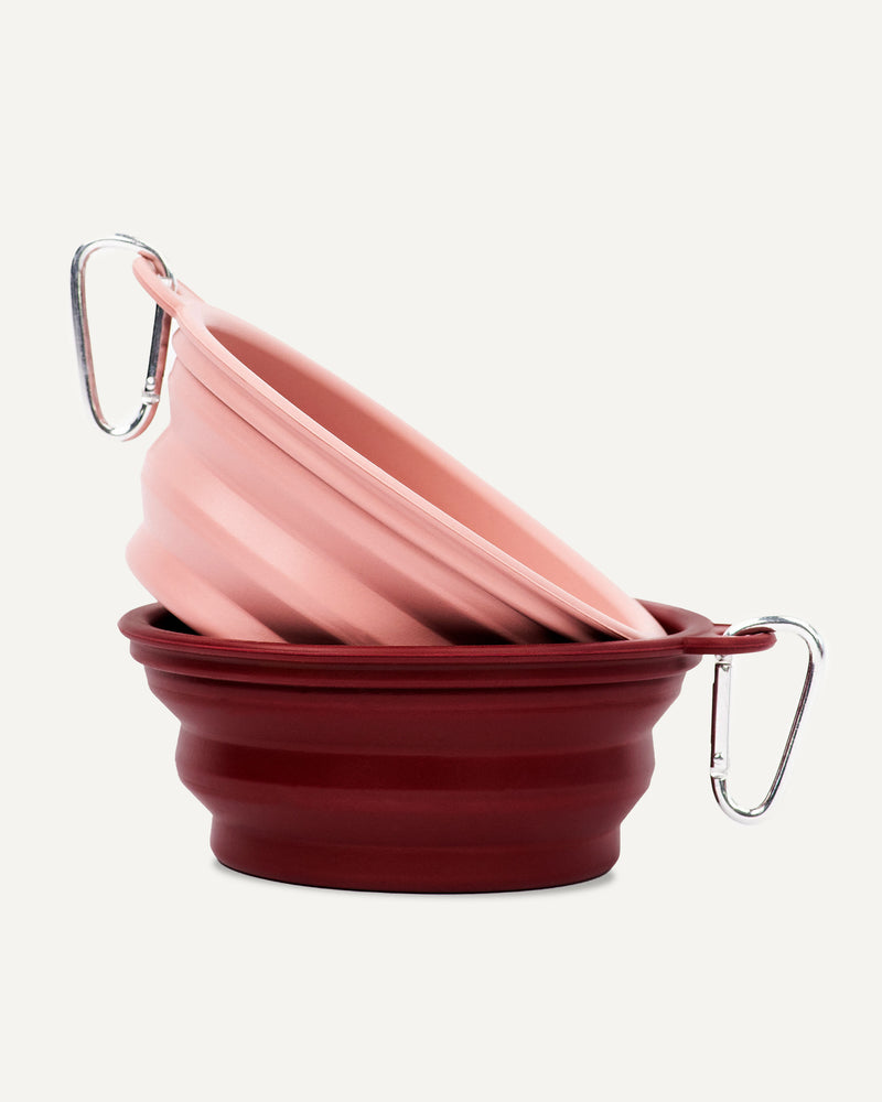 Pink and red collapsible dog bowls