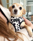 Cow Print Dog Harness
