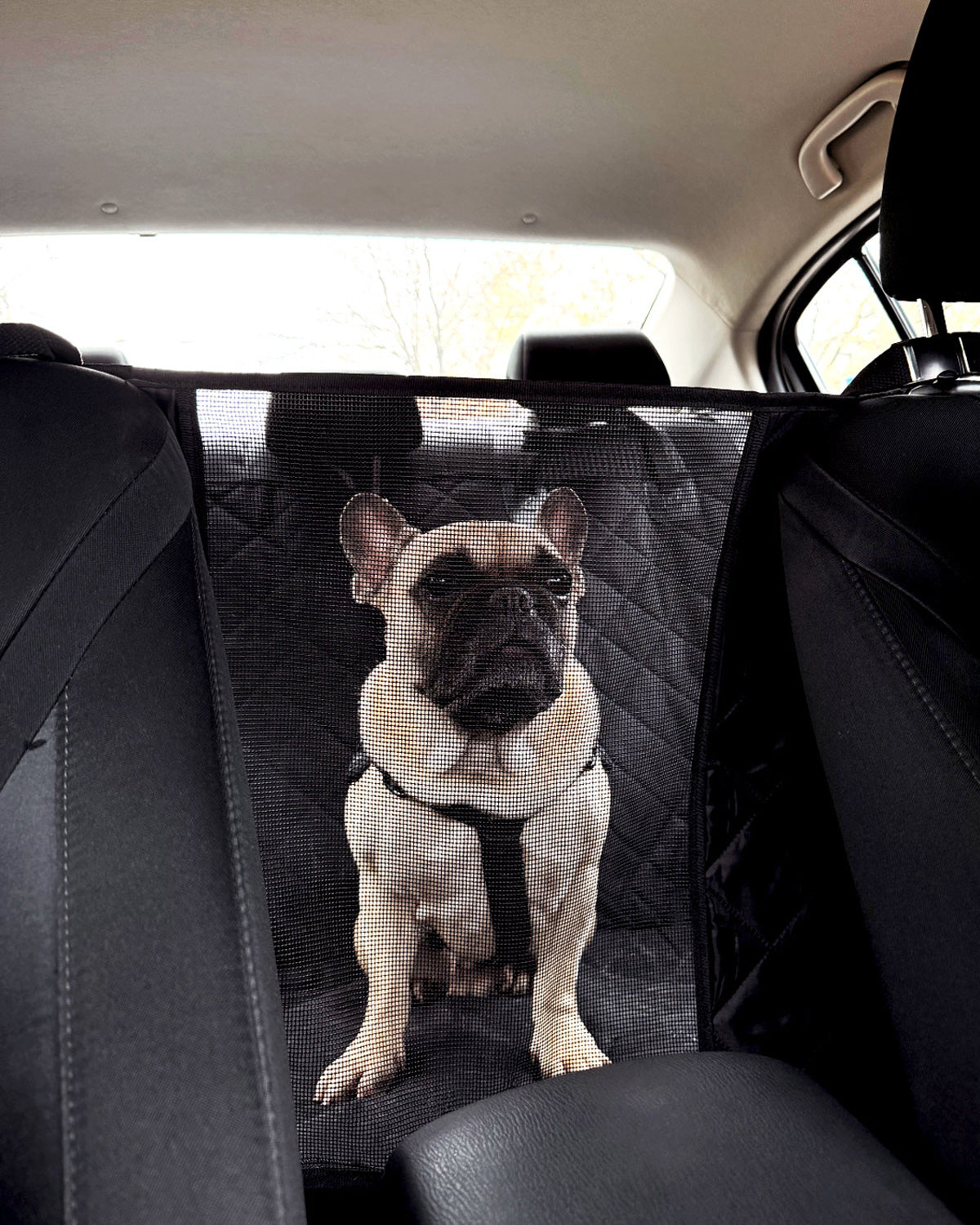 Black Dog Car Seat Cover