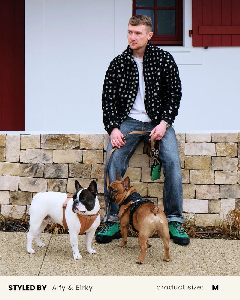 Brown Adjustable No-Pull Dog Harness
