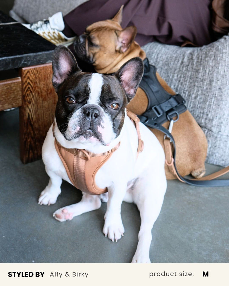 Brown Adjustable No-Pull Dog Harness