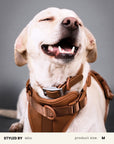 Waterproof Dog Collar Set