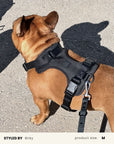 Black Waterproof Dog Leash