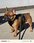 Black Waterproof Dog Leash