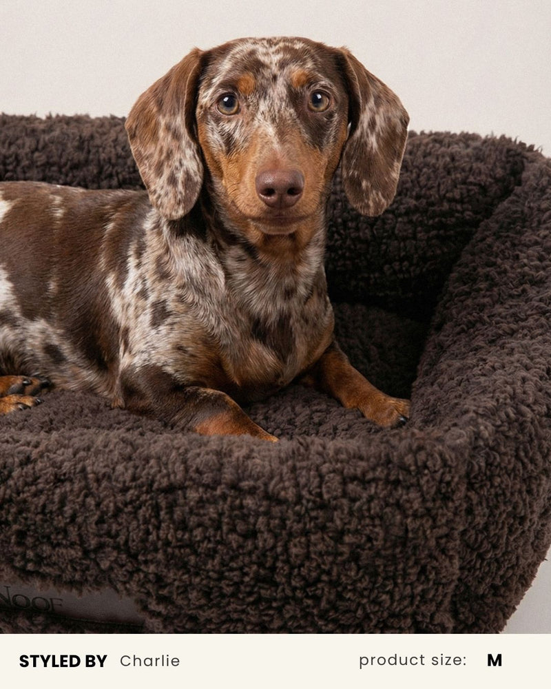 Brown Teddy Sofa Dog Bed