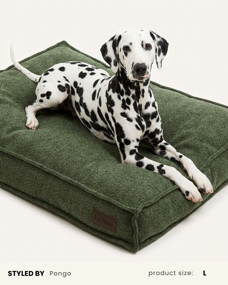 Green Boucle Square Dog Bed