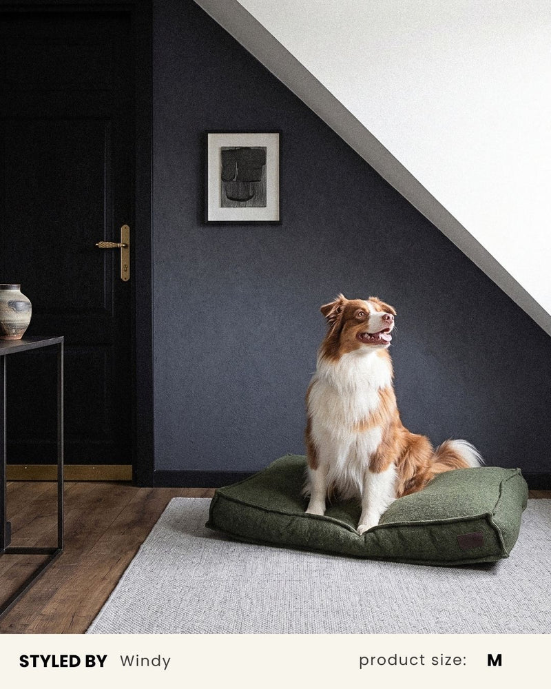 Green Boucle Square Dog Bed