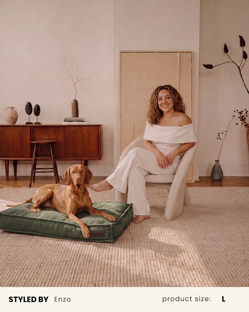 Green Boucle Square Dog Bed