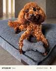 Grey Boucle Bone Toy