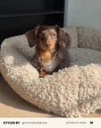Beige Teddy Sofa Dog Bed
