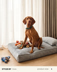 Grey Corduroy Orthopedic Dog Bed