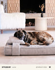 Grey Corduroy Orthopedic Dog Bed For Large Dogs