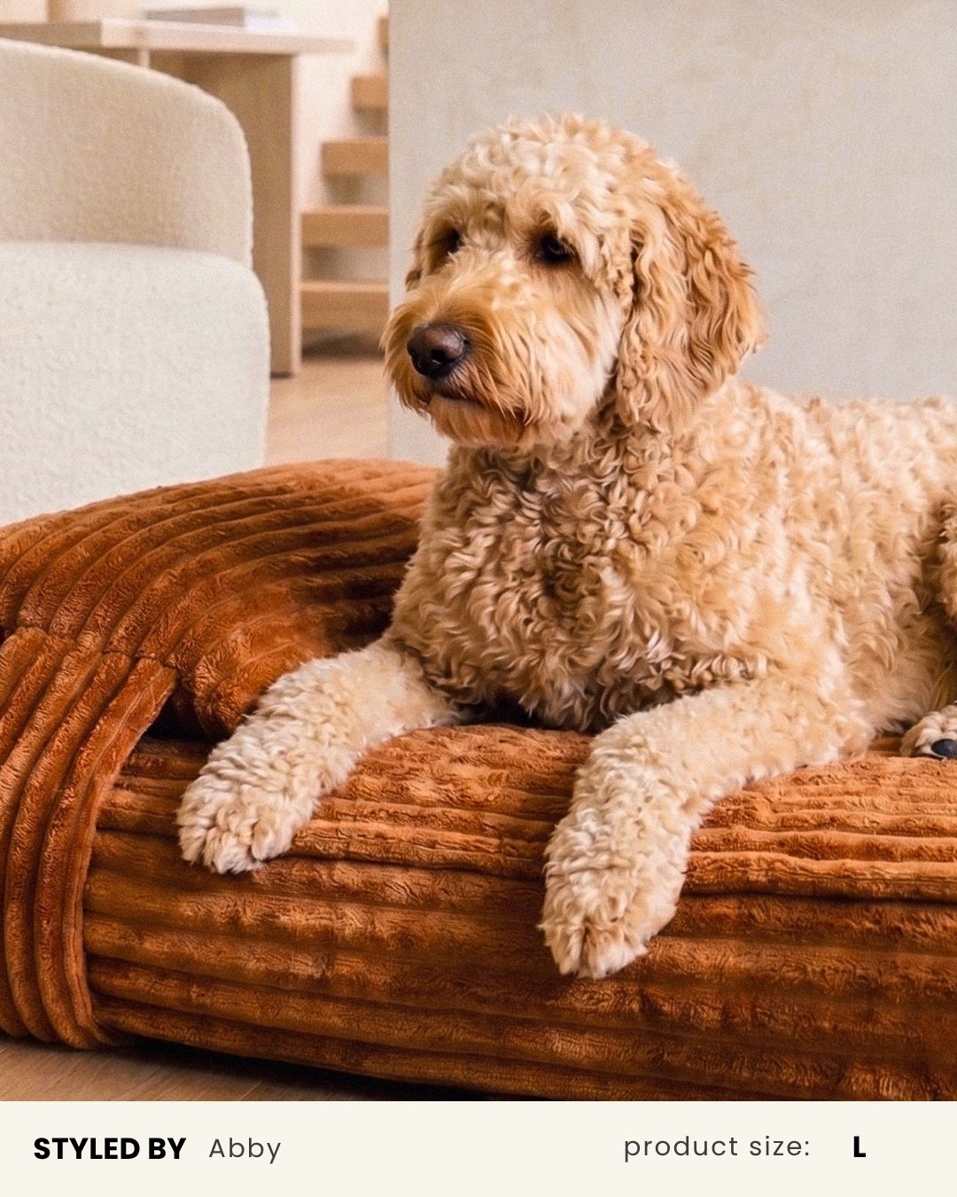 Premium Tan Orthopedic Dog Bed
