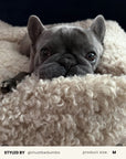 Beige Teddy Sofa Dog Bed