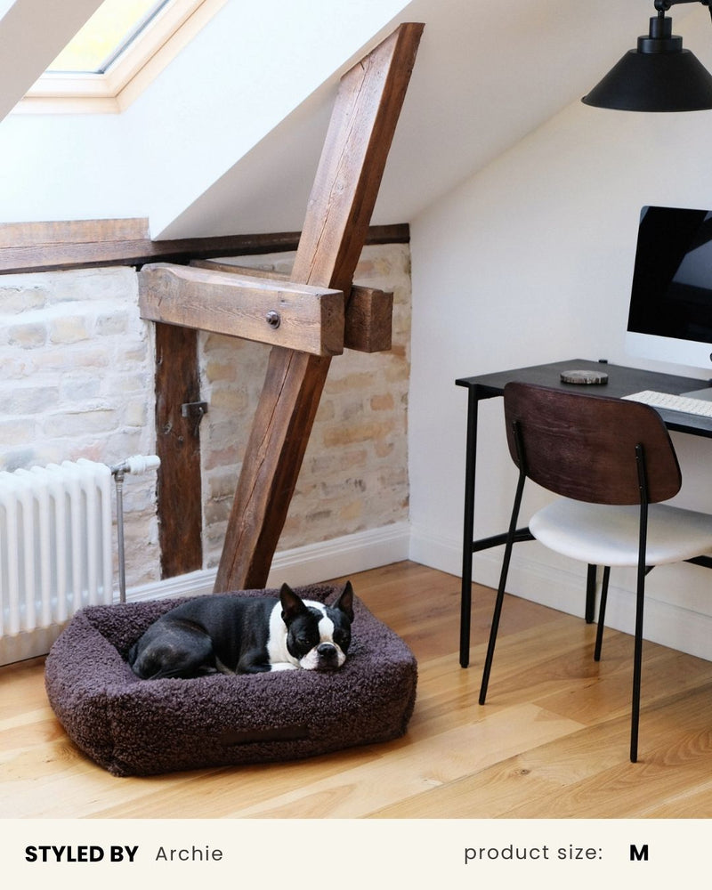 French Bulldog Brown Teddy Dog Bed