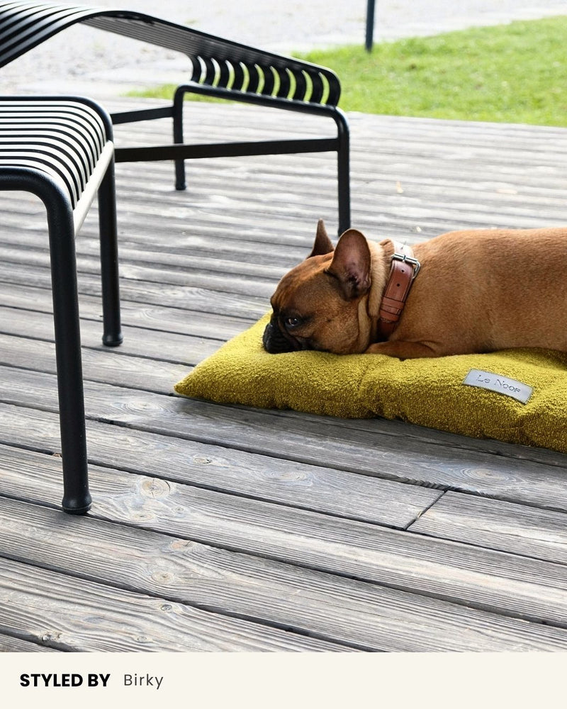 Chartreuse Green Boucle Floor Dog Pillow