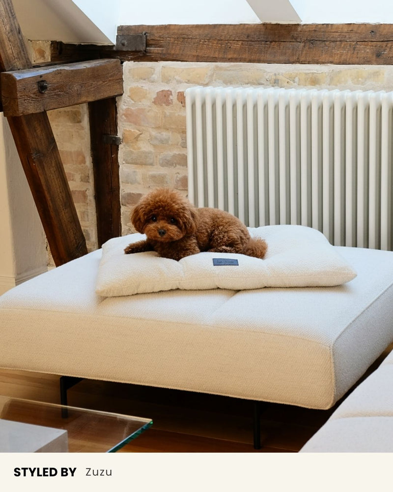 Cream White Boucle Floor Dog Pillow