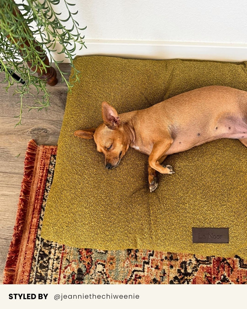 Chartreuse Green Boucle Floor Dog Pillow
