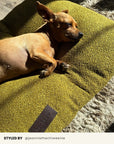 Chartreuse Green Boucle Floor Dog Pillow
