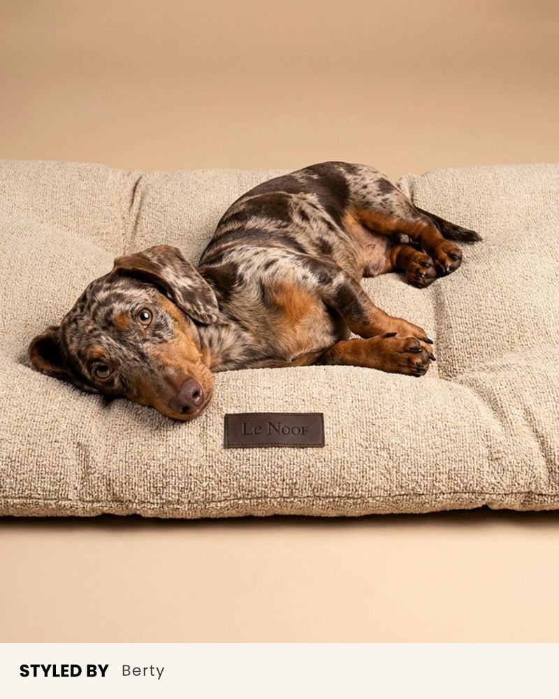 Beige Boucle Floor Dog Pillow