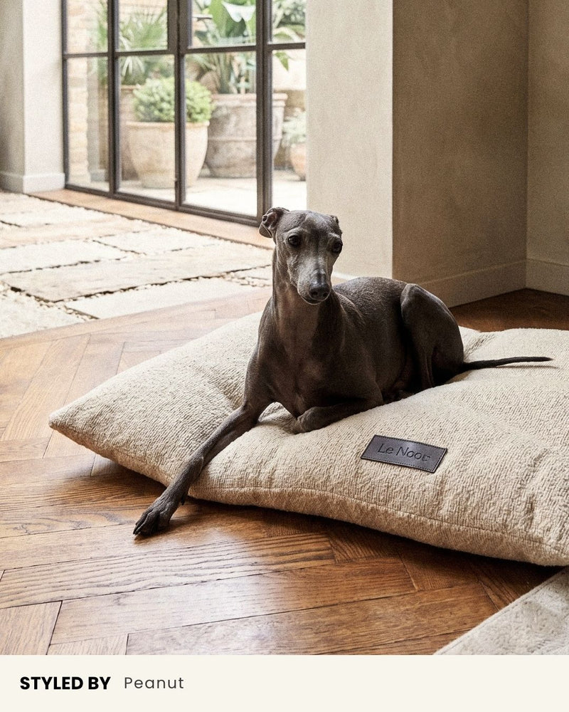 Cream White Boucle Floor Dog Pillow