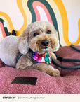 Dusty Pink Boucle Floor Dog Pillow