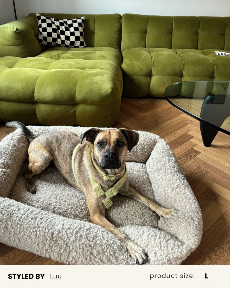 Beige Teddy Sofa Dog Bed