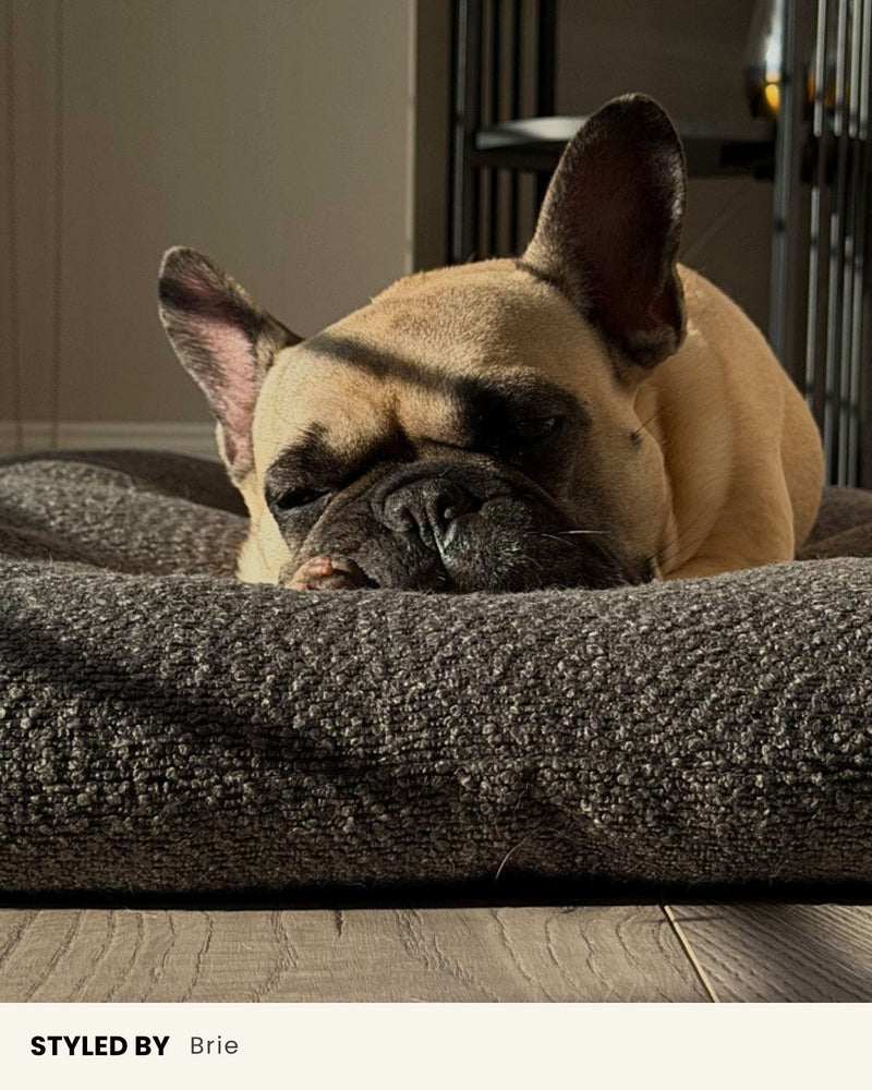 Grey Boucle Floor Dog Pillow