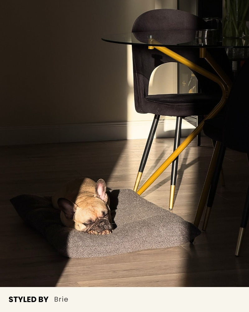 Grey Boucle Floor Dog Pillow
