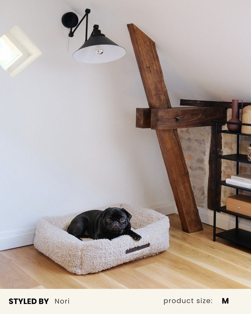 Beige Teddy Sofa Dog Bed
