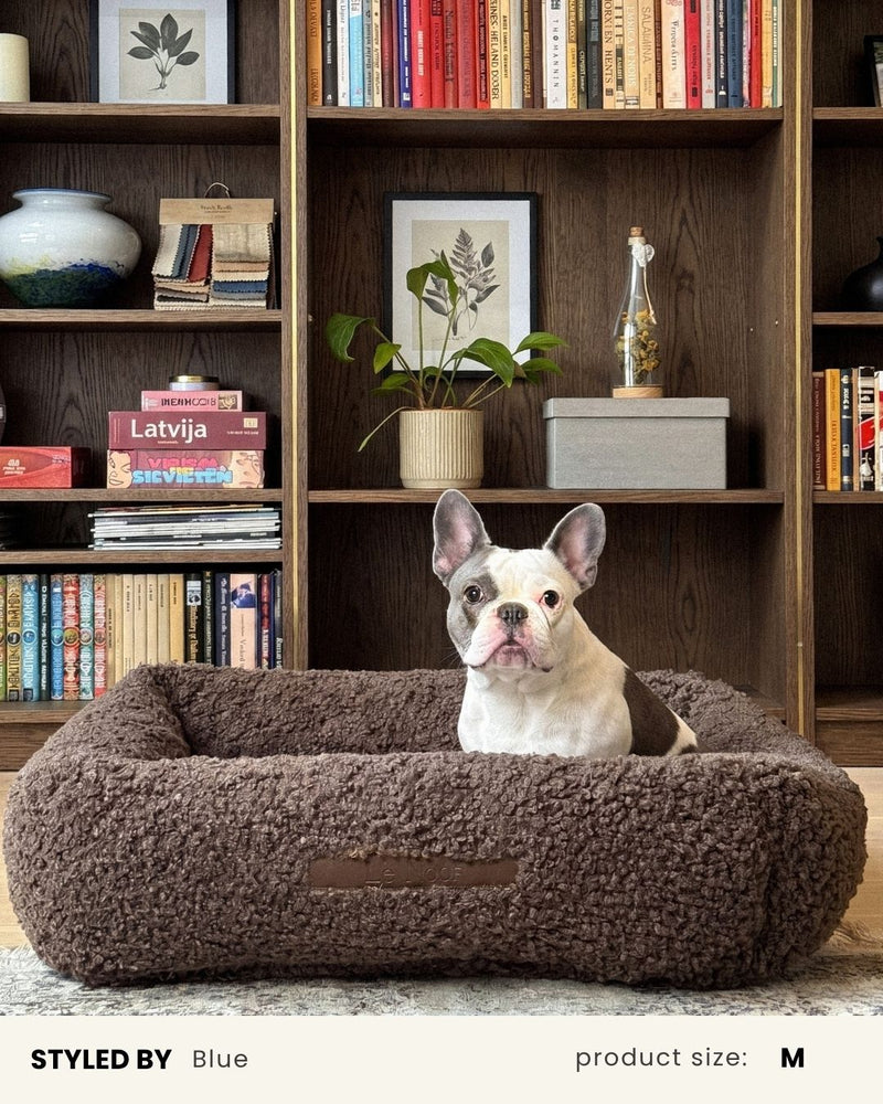 Brown Teddy Sofa Dog Bed