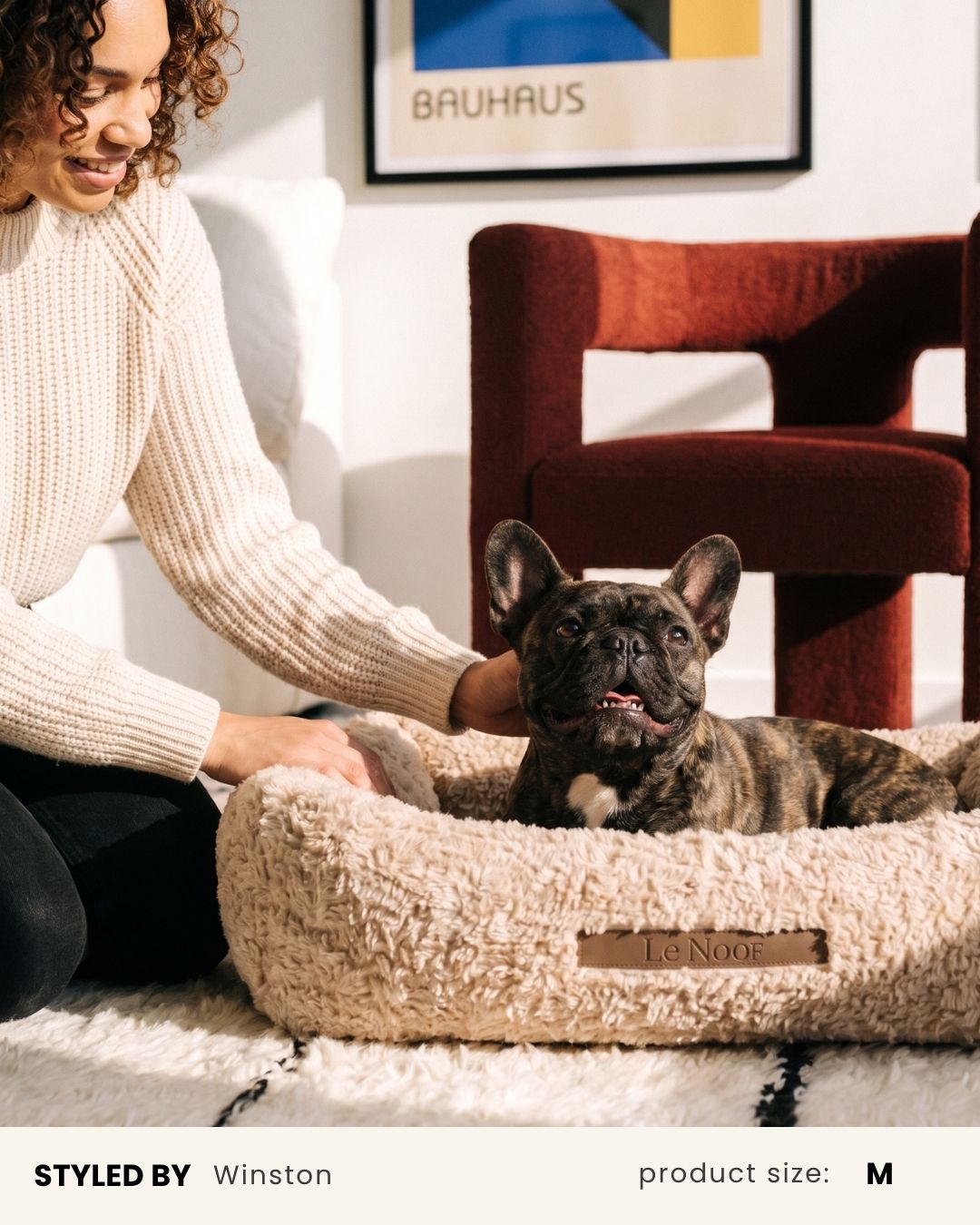 Beige Teddy Sofa Dog Bed