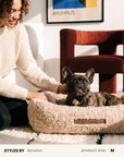 Beige Teddy Sofa Dog Bed