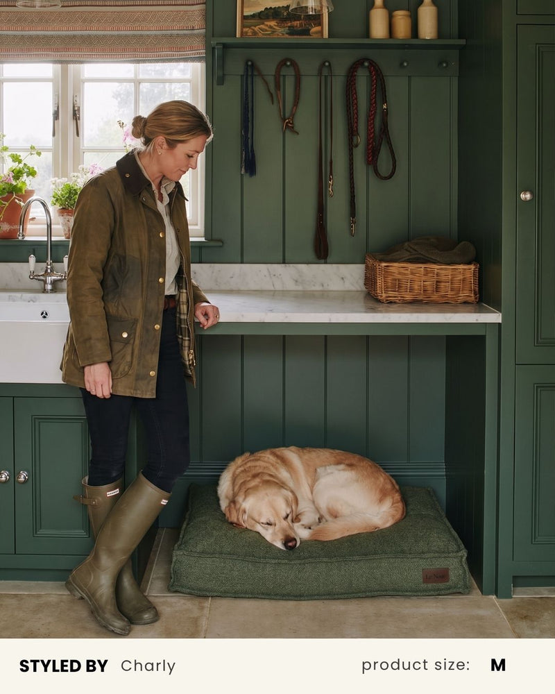 Green Boucle Square Dog Bed