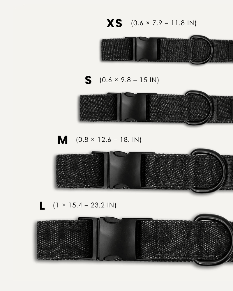 Black denim dog collar, Le Noof