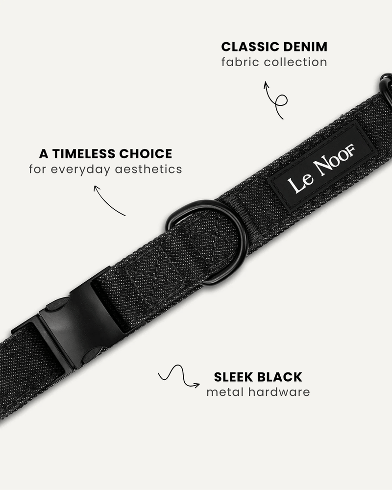 Black denim dog collar close-up, Le Noof