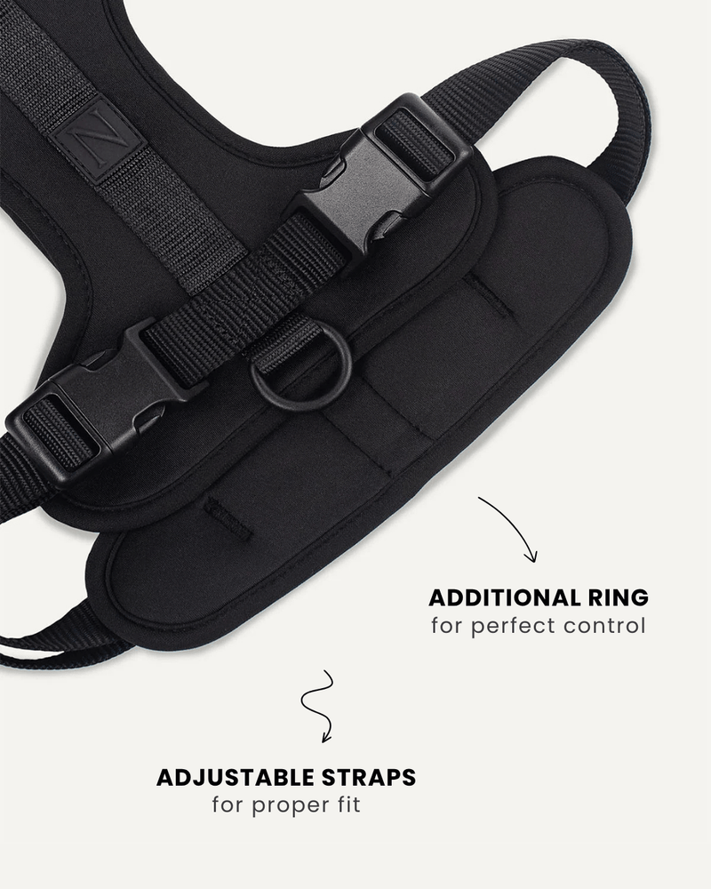 Black neoprene no-pull dog harness, Le Noof